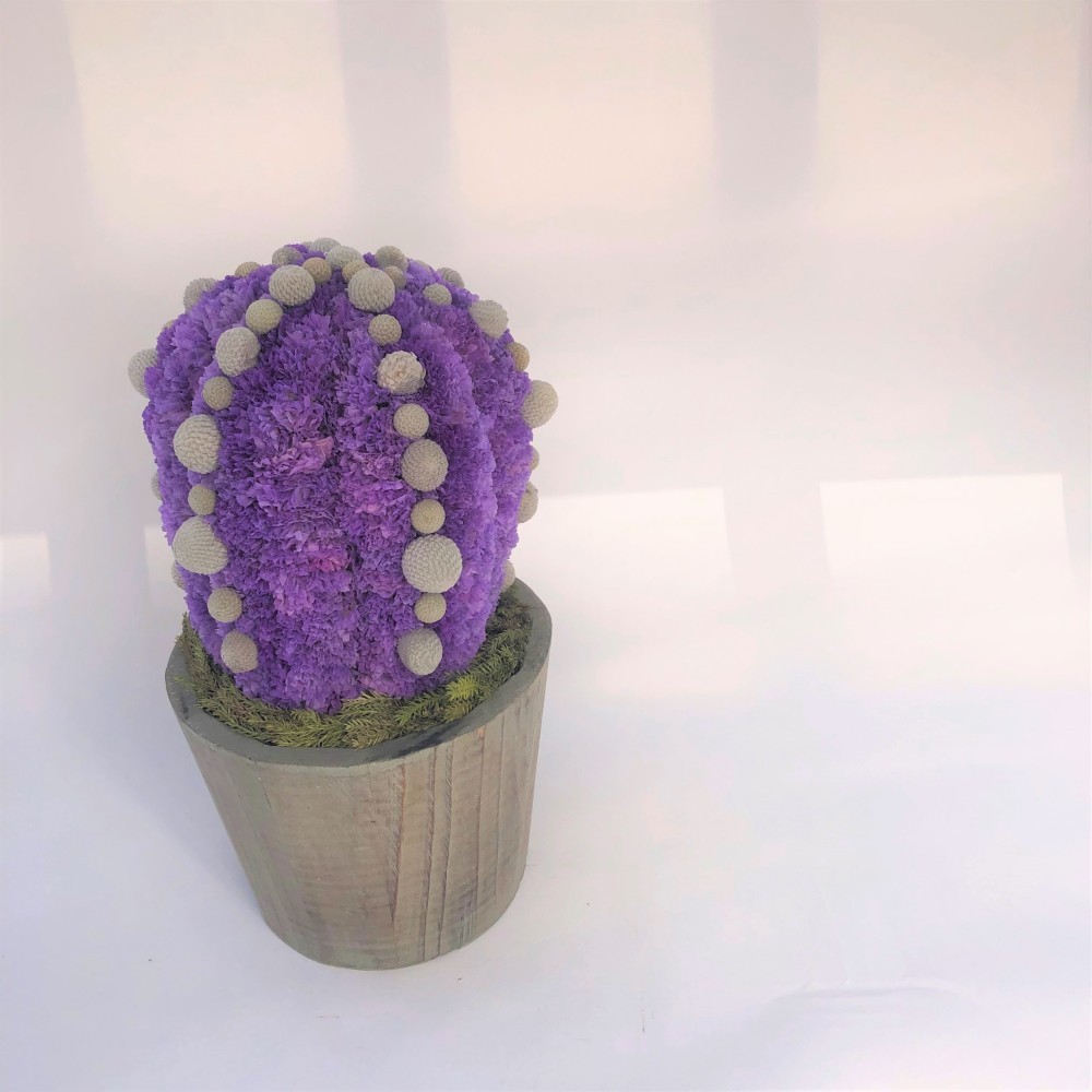 【値下げ】Cactus(6ウィングス/ラベンダー) カラフルサボテンオブジェ　ドライフラワースターチス