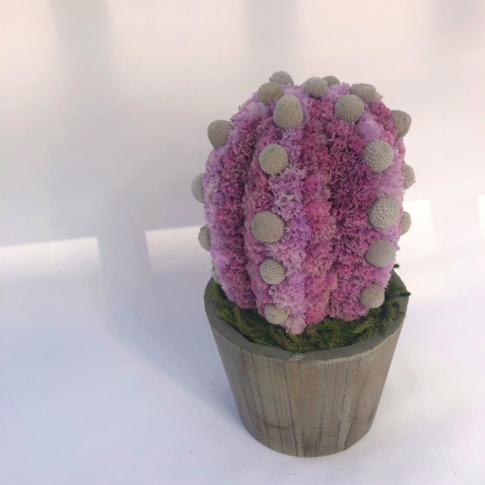 【値下げ】Cactus(6ウィングス/モーブピンク) カラフルサボテンオブジェ　ドライフラワースターチス