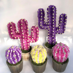 【値下げ】Cactus(6ウィングス/モーブピンク) カラフルサボテンオブジェ　ドライフラワースターチス 7枚目の画像