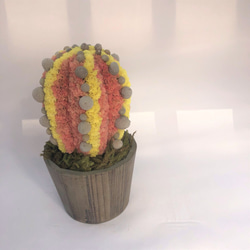 【値下げ】Cactus(6ウィングス/オレンジ) カラフルサボテンオブジェ　ドライフラワースターチス 2枚目の画像