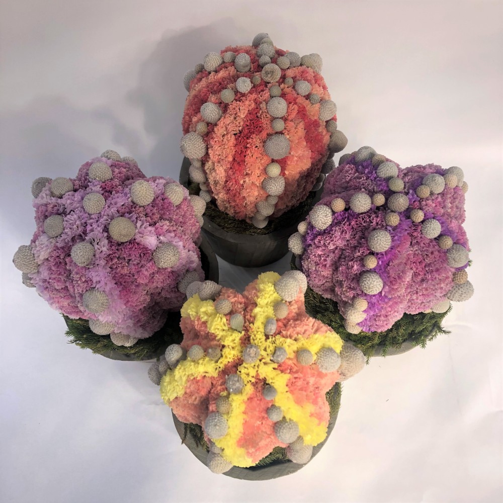 【値下げ】Cactus(6ウィングス/オレンジ) カラフルサボテンオブジェ　ドライフラワースターチス