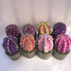 【値下げ】Cactus(6ウィングス/オレンジ) カラフルサボテンオブジェ　ドライフラワースターチス 5枚目の画像