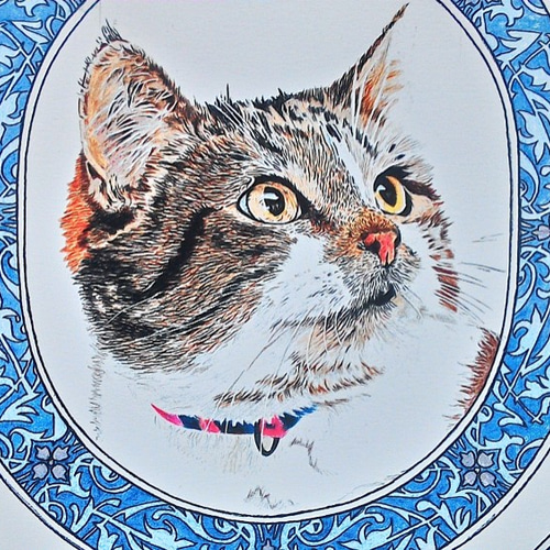 猫の絵色鉛筆画A4サイズ