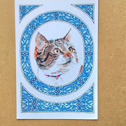 0057  色鉛筆　イラスト　猫　　 A4サイズ 2枚目の画像