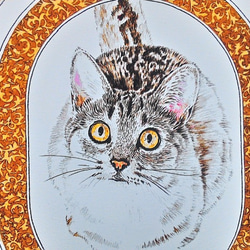 0059  色鉛筆　イラスト　猫　　 A4サイズ 1枚目の画像