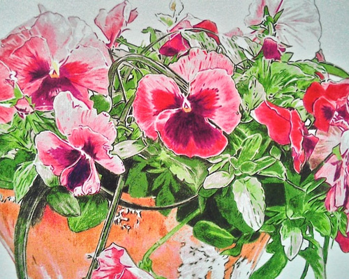 花の鉛筆画A4サイズ 0_8b019a0034d7eb26852fc7ffebb2