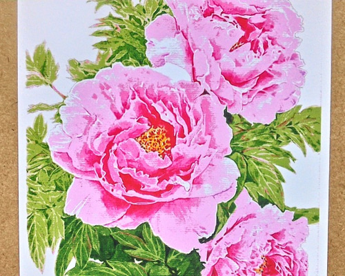 水墨画：牡丹 | 手描き羽水