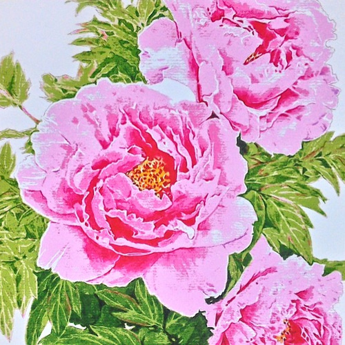 0063 水彩画 イラスト 花 牡丹 A4サイズ 絵画 アトリエ雅夫 通販 0063 水彩画 イラスト 花 牡丹 A4サイズ 絵画 アトリエ雅夫 通販