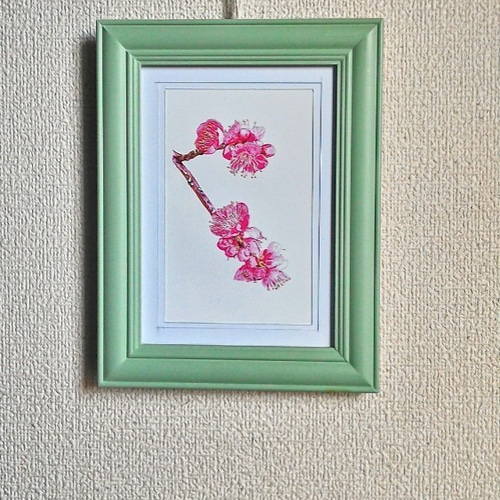 ポストカードサイズ 色鉛筆画 水彩画 5枚セット 花シリーズ ポストカードサイズ 色鉛筆画 水彩画 5枚セット 花シリーズ