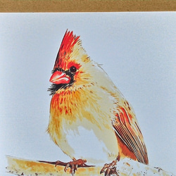 水彩画「おし鳥夫婦」 絵画