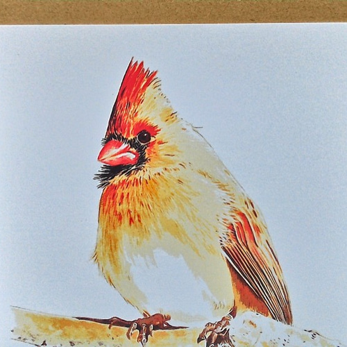 0069 水彩画 イラスト 小鳥 A4サイズ 絵画 アトリエ雅夫 通販 0069 水彩画 イラスト 小鳥 A4サイズ 絵画 アトリエ雅夫 通販