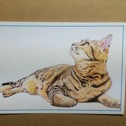 2025年新作】SADNESS-嘆きのうさぎ-【A3サイズ. 現代アート 絵】 絵画