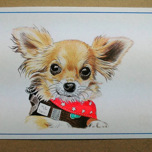 ペット画 オーダー似顔絵【A5】 ペット画 オーダー似顔絵【A5】 オーダーメイド【A5サイズペット