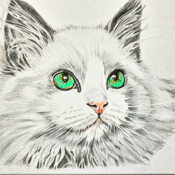 色鉛筆画】キジトラ猫 絵画 ゆきのちみぞれ。 通販 17521872
