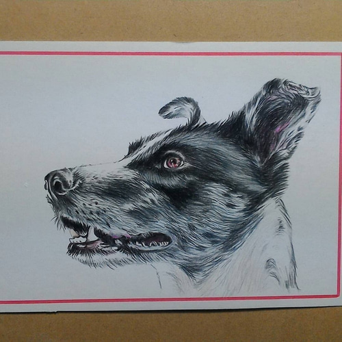 ペット画 オーダー似顔絵【A5】 ペット画 オーダー似顔絵【A5】 オーダーメイド【A5サイズペット