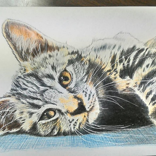 原画 【枝垂桜と猫】 桜 猫 cat 春 水彩画 F6 絵画 Chie Miyama 原画 【枝垂桜と猫】 桜 猫 cat 春 水彩画 F6 絵画 Chie Miyama