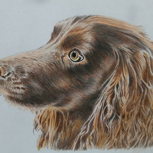 ペット画 オーダー似顔絵【A5】