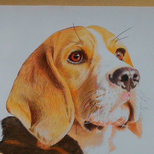 おすすめ 動物画、ペット画(本格水彩画) 絵画 - 絵画