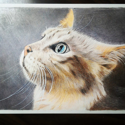 ペットの似顔絵色鉛筆画　(A3サイズ　300mm×420mm) 5枚目の画像
