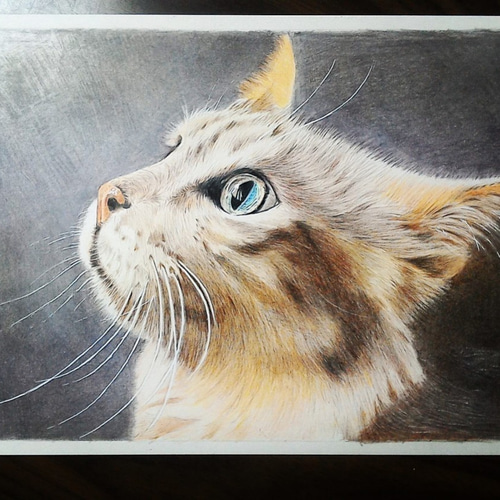 ペットの似顔絵色鉛筆画 (A3サイズ 300mm×420mm) イラスト