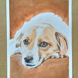 【IKEAロムヴィーケンの額縁付き】原画一点物 絵画 犬の絵 絵画 ドッグシリーズ かわいい 犬の絵 眼鏡 壁掛け アート