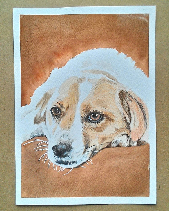 075くつろぐ犬 原画 一点物 絵画 アトリエ雅夫 通販 11591362