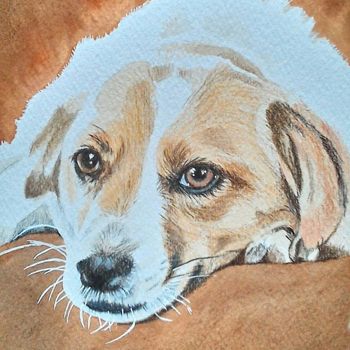 075くつろぐ犬 原画 一点物 絵画 アトリエ雅夫 通販 11591362