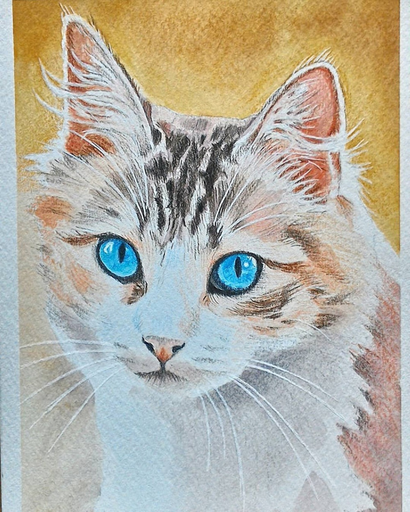 076青い目の猫 原画 一点物 絵画 アトリエ雅夫 通販 11591378 076青い目の猫 原画 一点物 絵画 アトリエ雅夫 通販 11591378