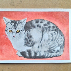 076青い目の猫 原画 一点物 絵画 アトリエ雅夫 通販 11591378