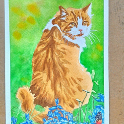 楕円の額入り　ガラス絵「野原の青い目の猫くん」 076青い目の猫 原画 一点物 絵画 アトリエ雅夫 通販 11591378