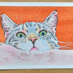 077草むらの猫 原画 一点物 絵画 アトリエ雅夫 通販 11591386 077草むらの猫 原画 一点物 絵画 アトリエ雅夫 通販 11591386