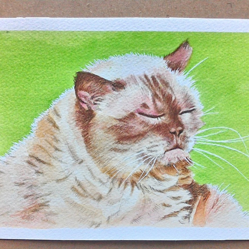 086 考える猫 原画 一点物 絵画 アトリエ雅夫 通販 11910606｜Creema