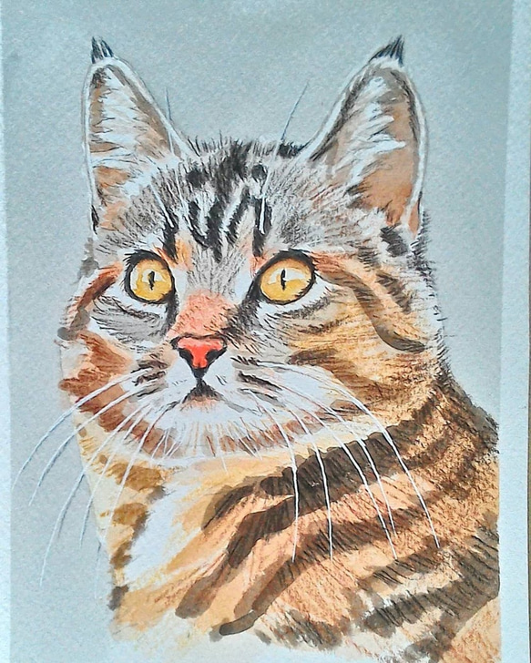 イラスト原画 満足げな猫顔が魅力 「まったり」 絵画