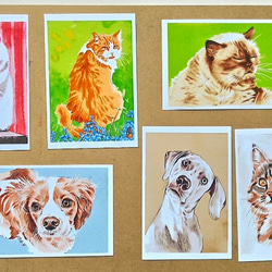 ポストカードサイズ　水彩+色鉛筆画犬、猫イラスト5枚セット　900円 2枚目の画像
