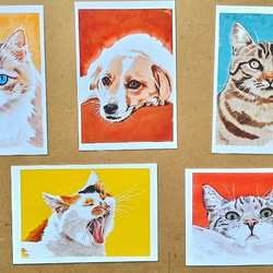 ポストカードサイズ　水彩+色鉛筆画犬、猫イラスト5枚セット　900円 3枚目の画像