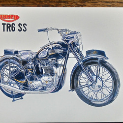 0022 色鉛筆　イラスト　オートバイ　ビンテージ　TRIUMPH 1963 TR6 SS A4サイズ 3枚目の画像