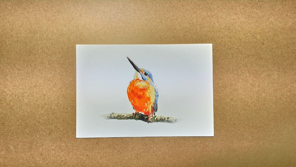 0038  色鉛筆　イラスト　小鳥　 A4サイズ 1枚目の画像