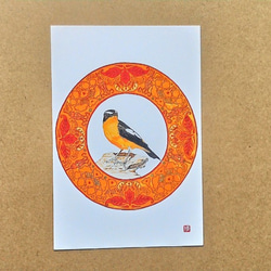 0042  色鉛筆　イラスト　小鳥　 A4サイズ 1枚目の画像