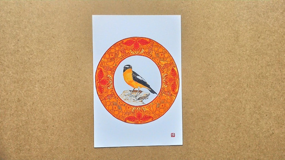 0042  色鉛筆　イラスト　小鳥　 A4サイズ 1枚目の画像