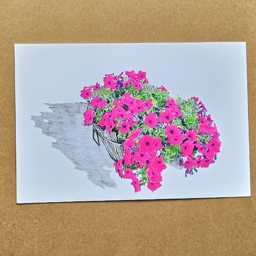 ダリ 「空想の花」カラーアクアチント 自筆鉛筆サイン有り 版画