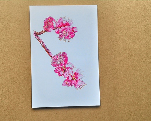 花の鉛筆画A4サイズ 0_c3ed3a8333aad9c35e635f66b375