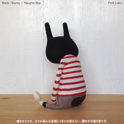 Black-Bunny 4枚目の画像