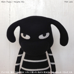 Black-Puppy 3枚目の画像