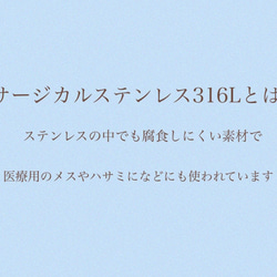 星の砂と海　フックピアス　イヤリング　樹脂ピアス　蝶バネ　アクセサリー　水面　海塗り 5枚目の画像