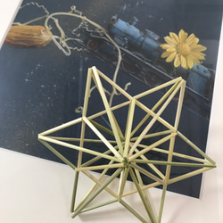 らっきょ！ヒンメリ用プラスチックストロー1000本 らっきょ！ヒンメリ用プラスチックストロー1000本 らっきょ