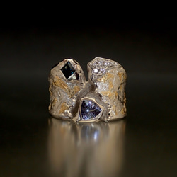 大地のリング　〔タンザナイト サファイア ダイヤモンド シルバー K24 純金 アート〕 2枚目の画像