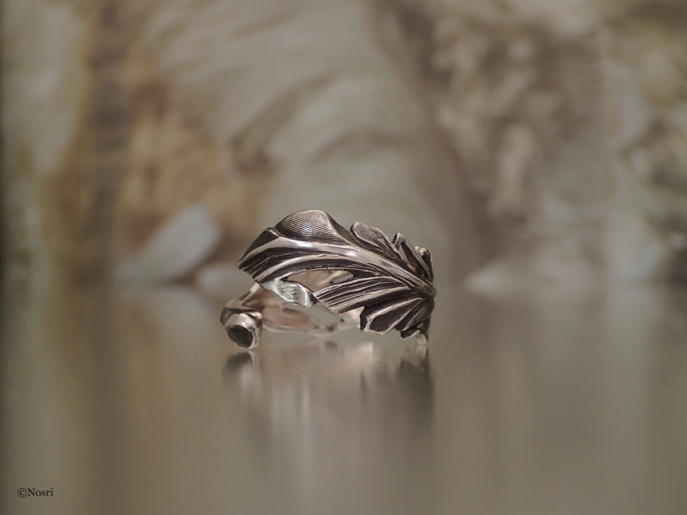キュリアス フェザー リング シルバーいぶし加工（Curious Ring)