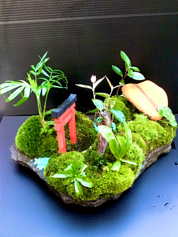 苔盆景(苔島三遊志) 2枚目の画像