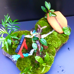 苔盆景(苔島三遊志) 3枚目の画像