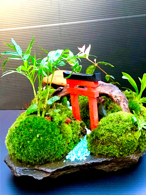 苔盆景(苔島三遊志) 4枚目の画像